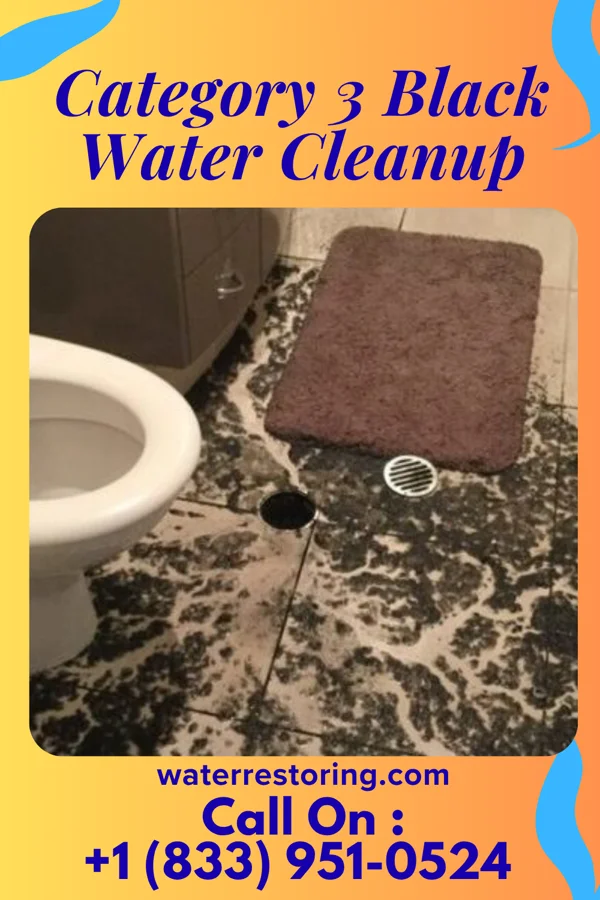Category 3 Black Water Cleanup in Hermitage, AR