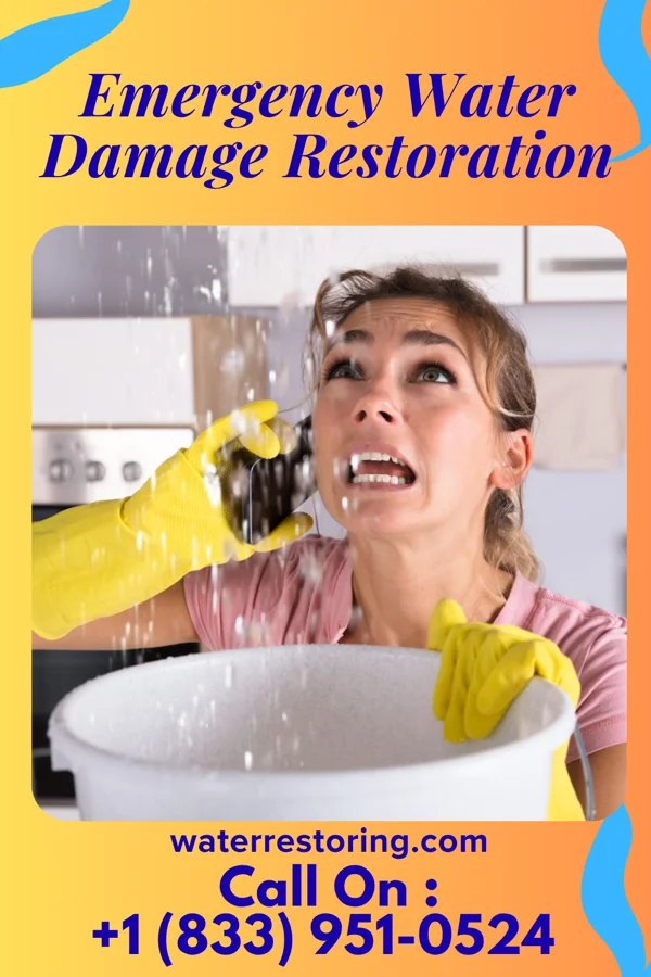 Emergency Water Damage Restoration in Hermitage, AR