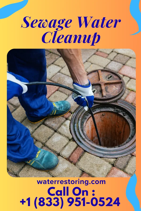 Sewage Water Cleanup in Hermitage, AR